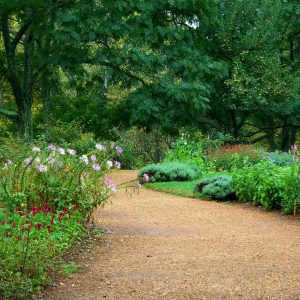 garden-path-59151_1920